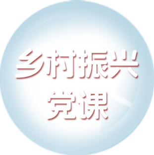乡村振兴党课