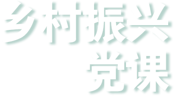 华新党建